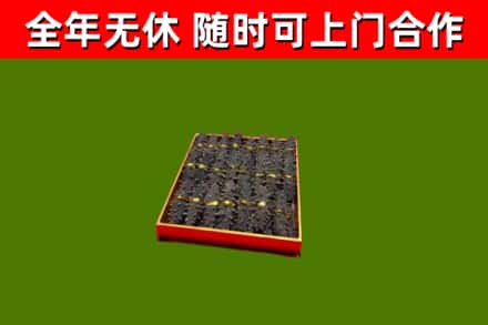 深泽回收海参